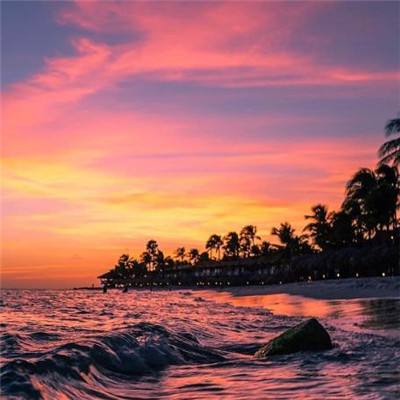 bsport体育在线登录