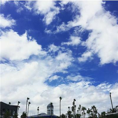 kok中欧登录入口app下载