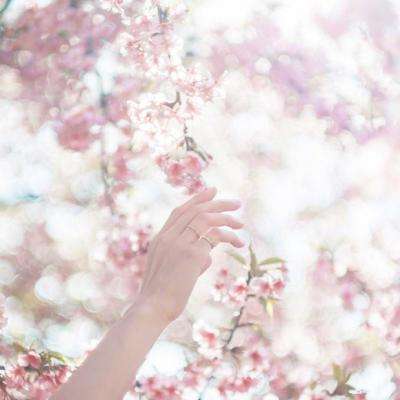 快盈lV购彩大厅app下载